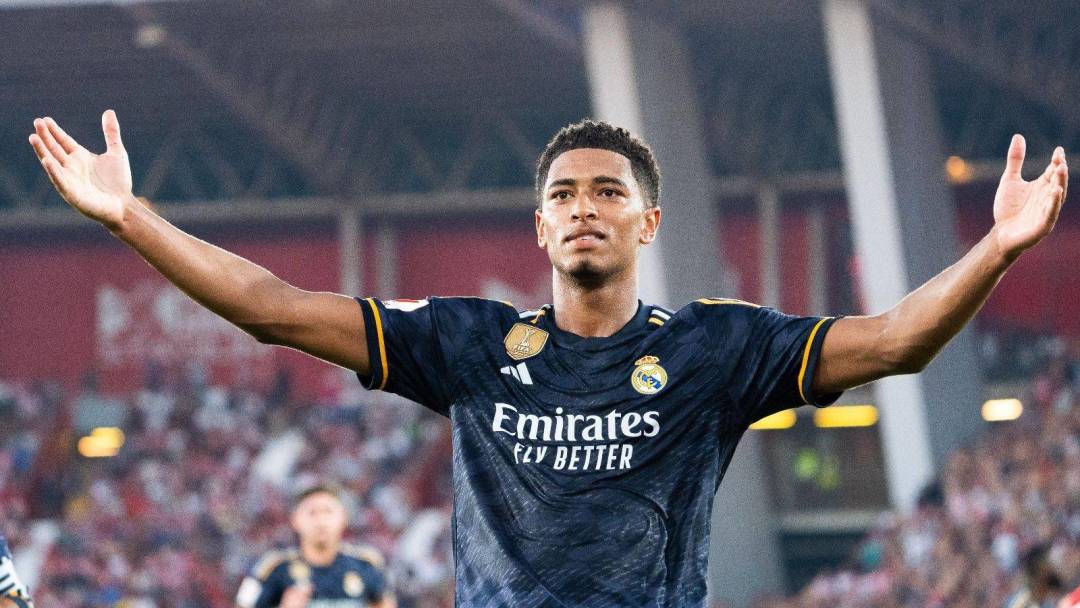 前一年同样 前一年同样