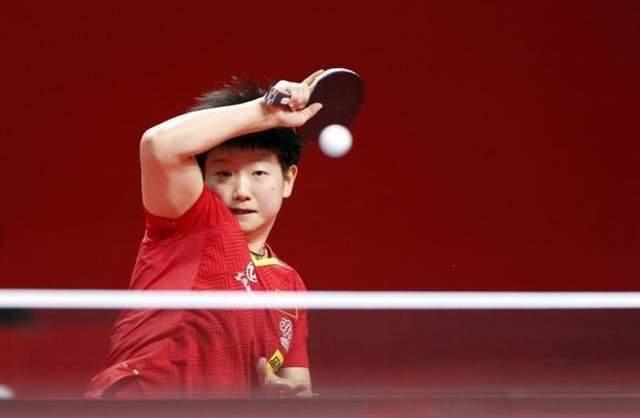 在分析骆建 在分析骆建