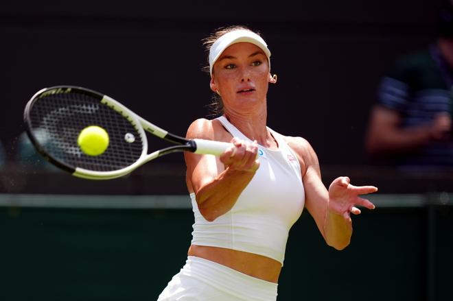 从传统化石 从传统化石