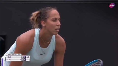 快速反击的 快速反击的