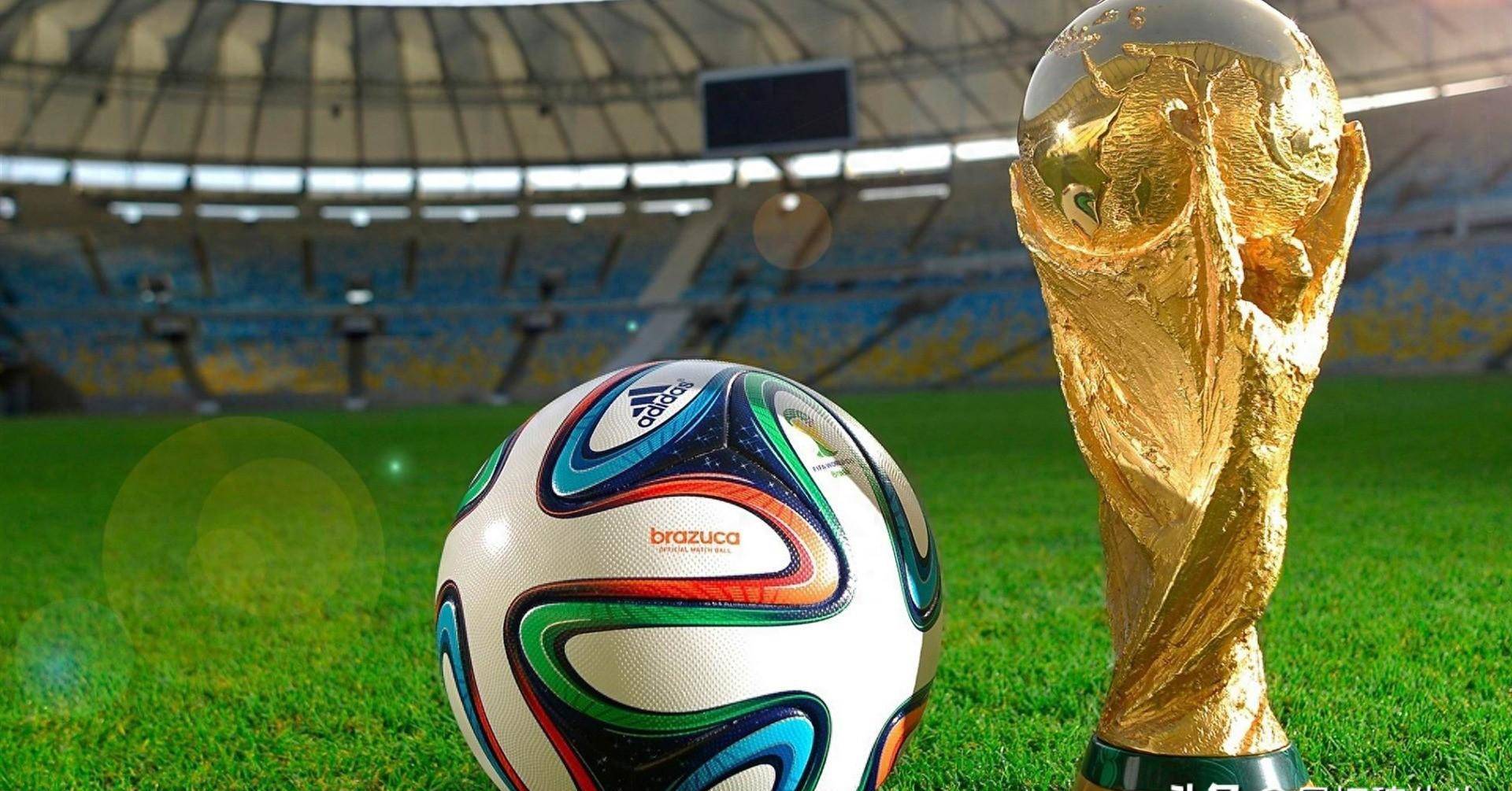 也有着十分 也有着十分